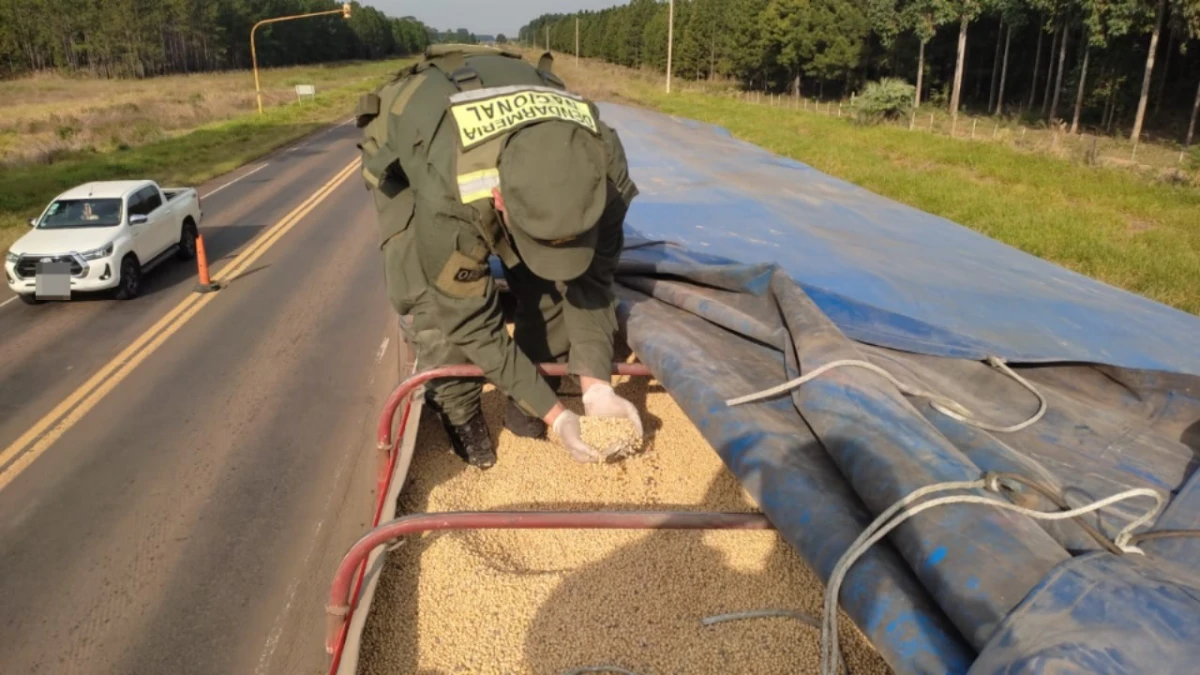 FOTO TOMADA DE GENDARMERÍA NACIONAL. 