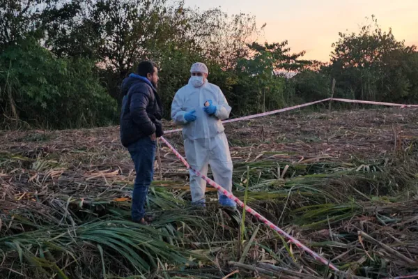 Confirman que los restos hallados en cañaverales son del joven desaparecido en Concepción