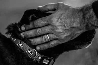 ¿Qué siente un perro antes de morir?, La desgarradora historia de un veterinario
