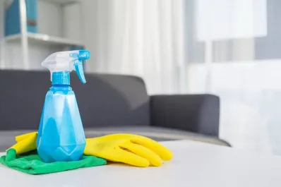 Anmat ordenó retirar del mercado un reconocido producto de limpieza