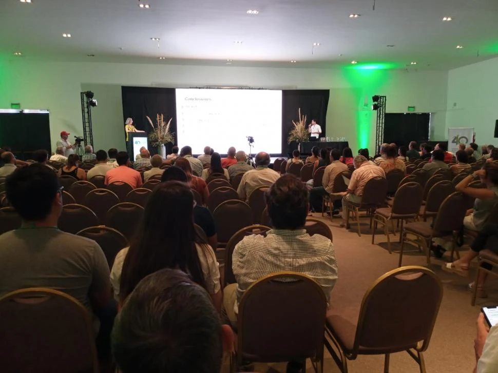 Técnicos de la caña de azúcar debaten en Tucumán