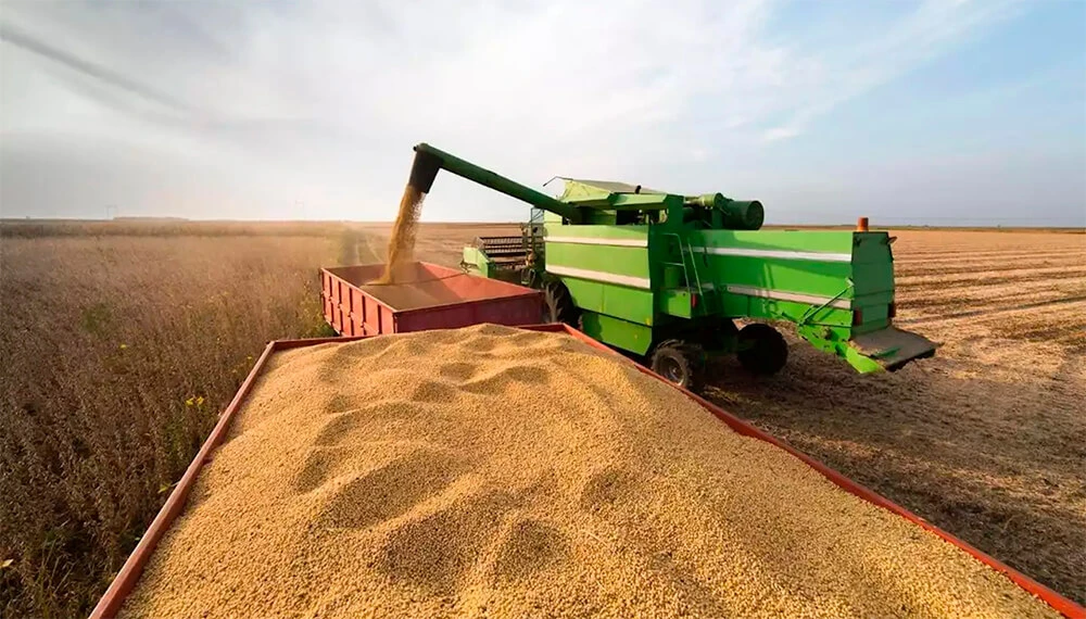 SIN VENDER. El campo guarda unos 24 millones de toneladas de soja.