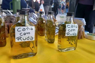 Cómo preparar la caña con ruda y de qué manera se debe tomar este 1 de agosto