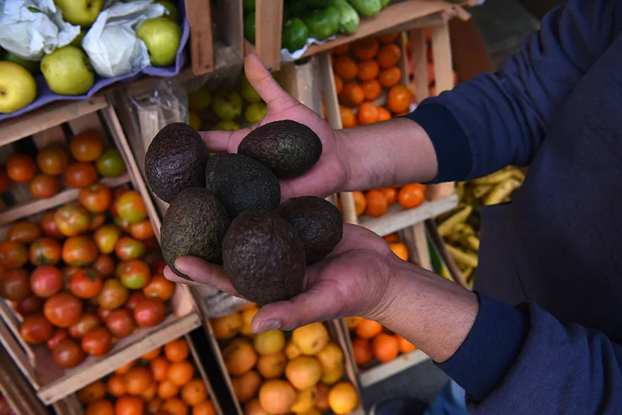 EN LA VERDULERÍA. El kilo de palta puede costar entre $ 2.000 y $ 3.500.