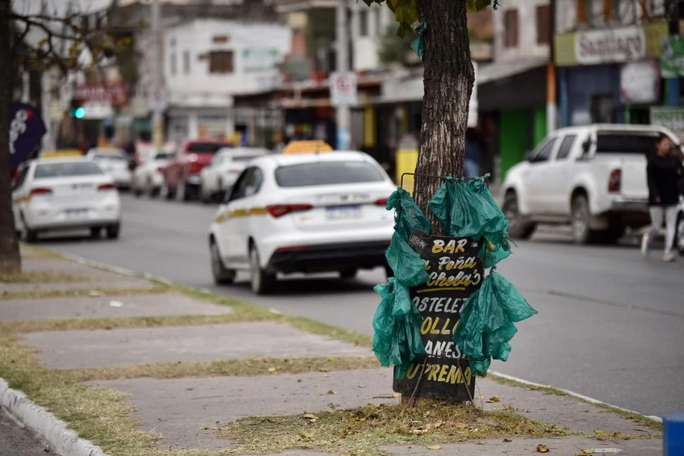 SIN PROBLEMAS. Los comerciantes utilizan cartelería y las famosas bolsas verdes para llamar la atención de los clientes que buscan hojas de coca. LA GACETA / FOTO DE INÉS QUINTEROS ORIO