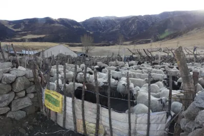 Se vieron muchos animales huyendo del fuego, relató un empleado municipal