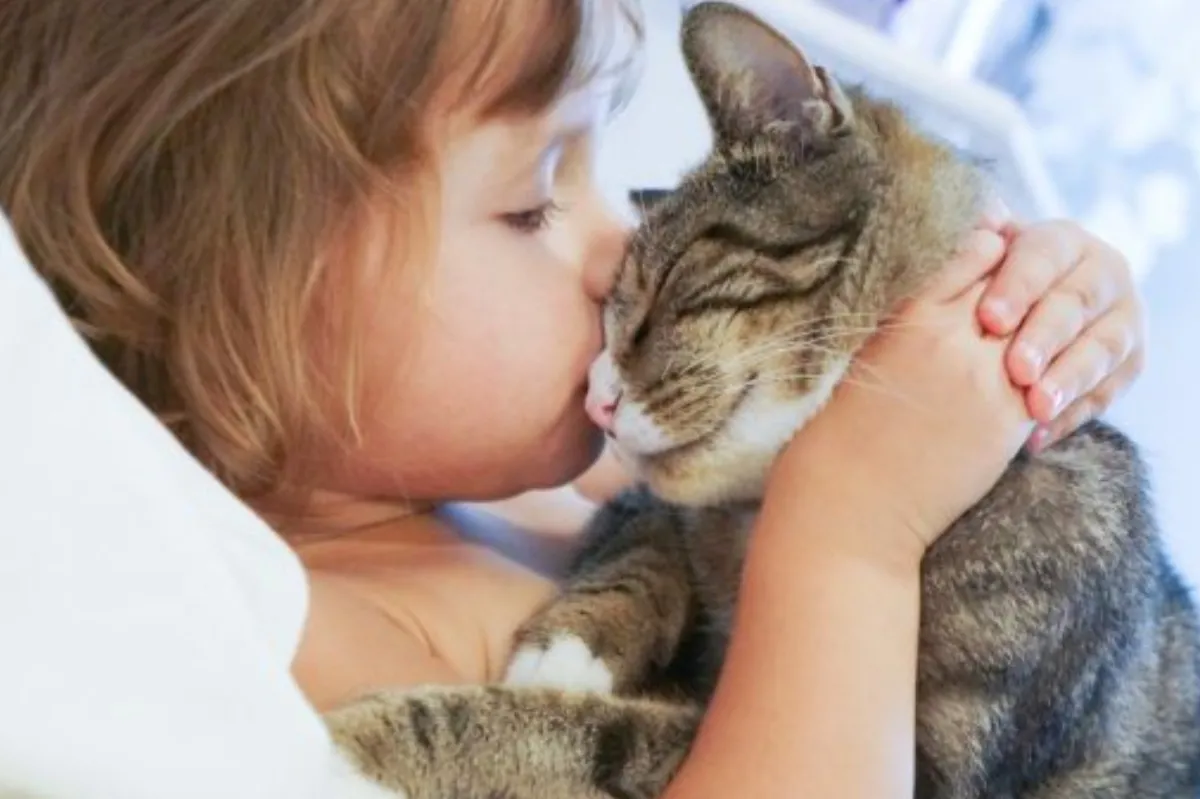 Beneficios de tener un gato en casa: salud mental, cardiovascular y apoyo a personas con TEA