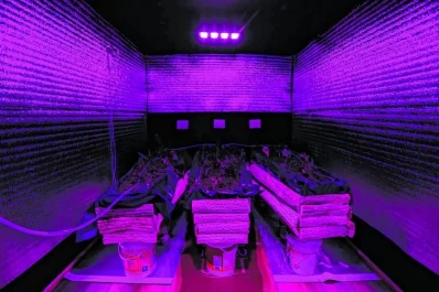 El Salón de arte del MUNT apuesta al artivismo