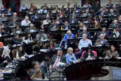 Diputados: solicitaron una sesión especial para tratar el presupuesto universitario