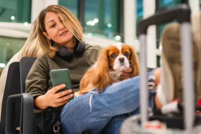 Estos son los tipos de personas que no deberían adoptar perros