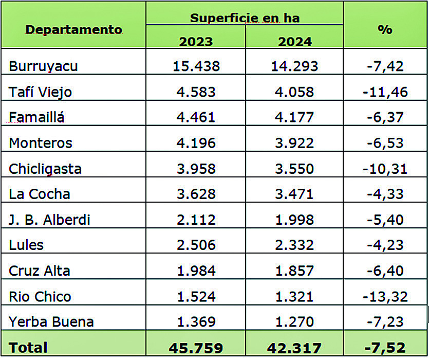 Tabla 2: Variación superficie implantada con Citrus entre las campañas 2023 y 2024