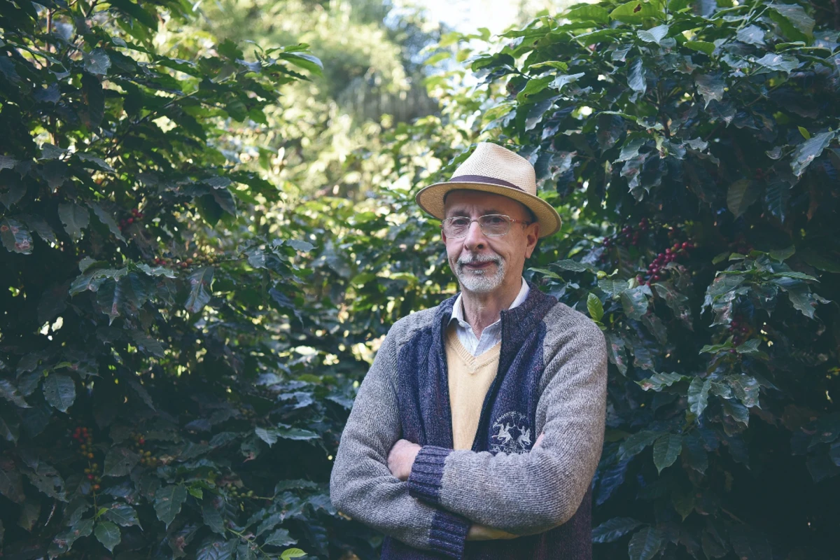 A pocos metros de la Perón, un oasis cafetalero desafía el frío en Tucumán