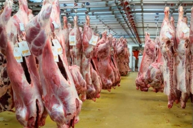 Productos vacunos, lácteos y porcinos, sin retenciones