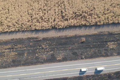 Aun bajo condiciones de alta combustibilidad la quema de caña mantendría su tendencia a la baja