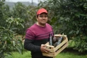 En Tucumán, un aceite de palta artesanal para comidas y para la piel