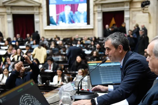 Diputados convoca a sesión especial para debatir protección a mujeres en situación de violencia de género