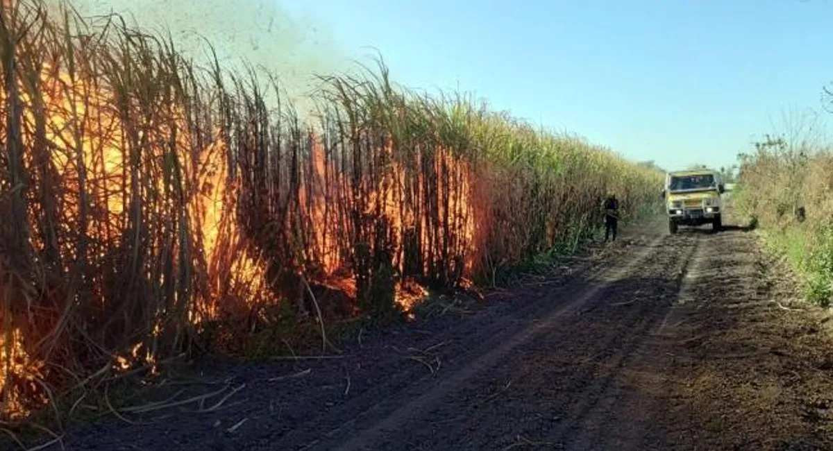 Intensifican los trabajos para prevenir focos de incendio en la Provincia