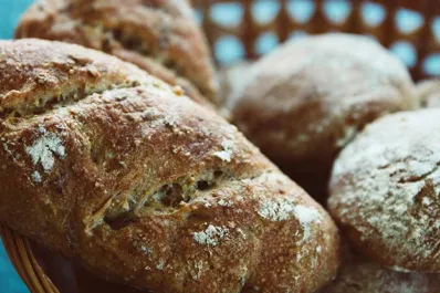 ¿Cuál es el mejor pan para comer en el desayuno?