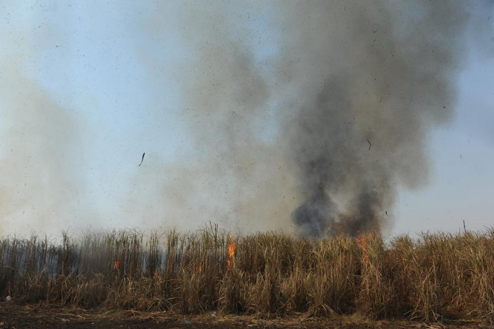 UN FLAGELO QUE SE REPITE CADA AÑO. El ambiente, envuelto en una nube de humo, se hizo irrespirable en algunos sectores del sur provincial.