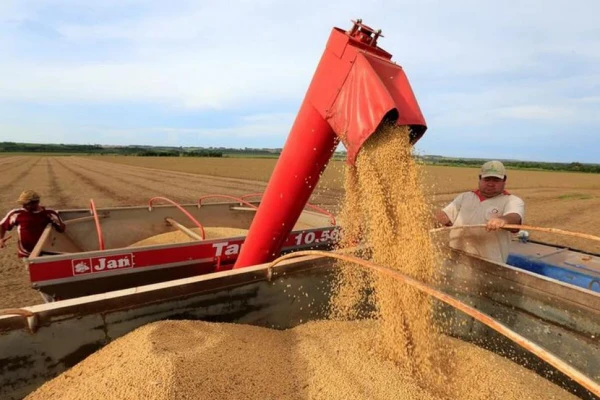 La soja superó los U$S370 luego del recorte de tasas de la Fed