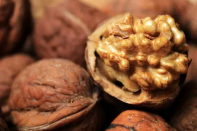 Los múltiples beneficios que puede aportar comer nueces todos los días