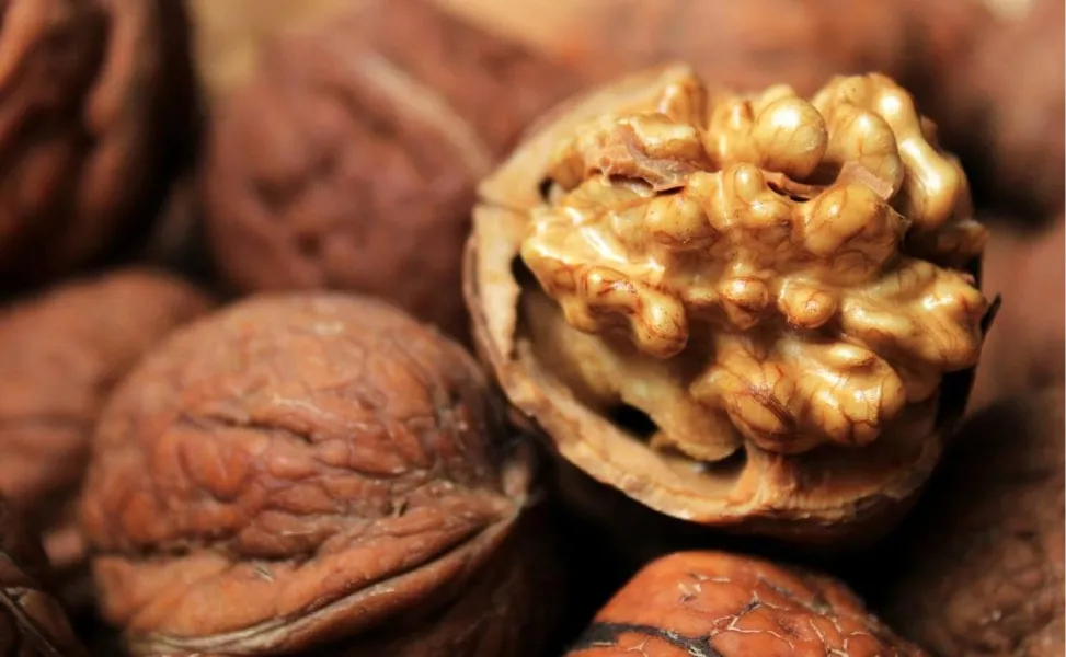 Los múltiples beneficios que puede aportar comer nueces todos los días