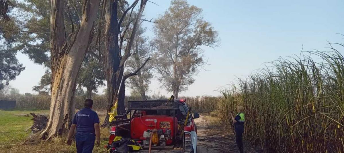 Quemaron un cañaveral, el fuego avanzó y debieron evacuar una escuela