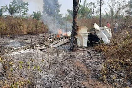 Otra tragedia aérea en Brasil: mueren un empresario y sus nietos