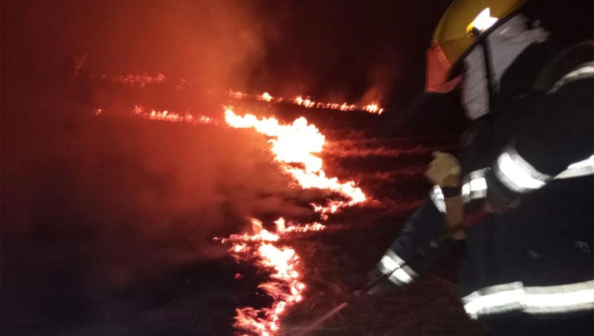 SOFOCADO. Bomberos y vigías controlaron las llamas luego de batallar más de una hora.