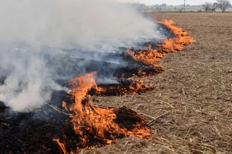 QUEMA. Científicos investigan los contaminantes que genera esta práctica. la gaceta 