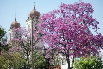 ¿Qué mundo vamos a dejar a nuestros hijos?