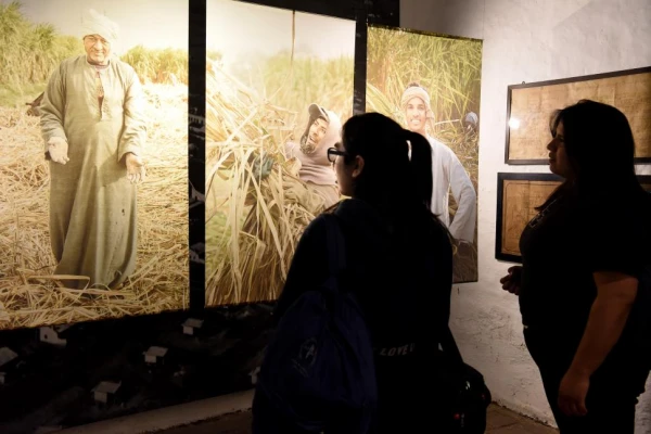 La cosecha de azúcar en Egipto y en Tucumán