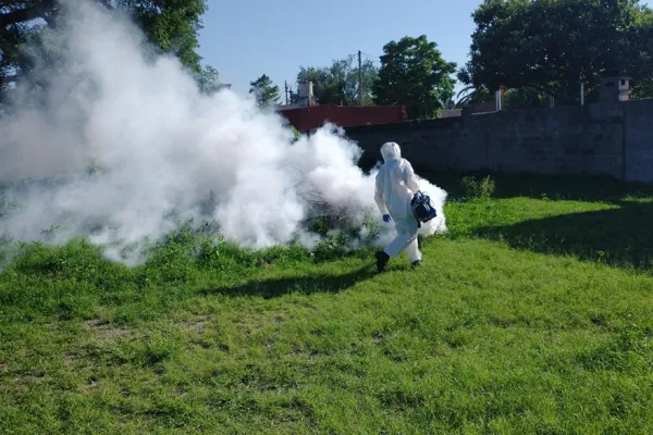 La Municipalidad prepara la lucha contra el dengue