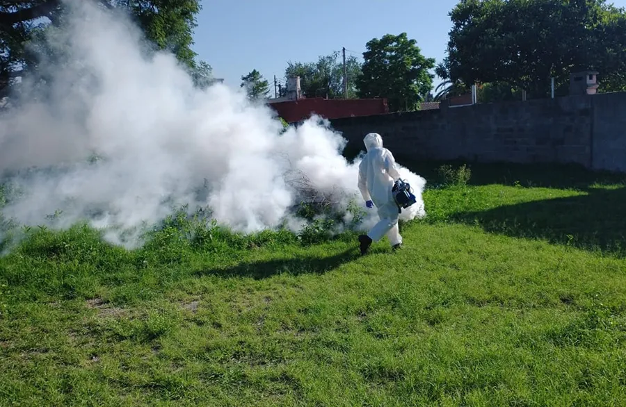 ESTRATEGIA. Las autoridades municipales buscan bajar la población del mosquito aedes aegypti.