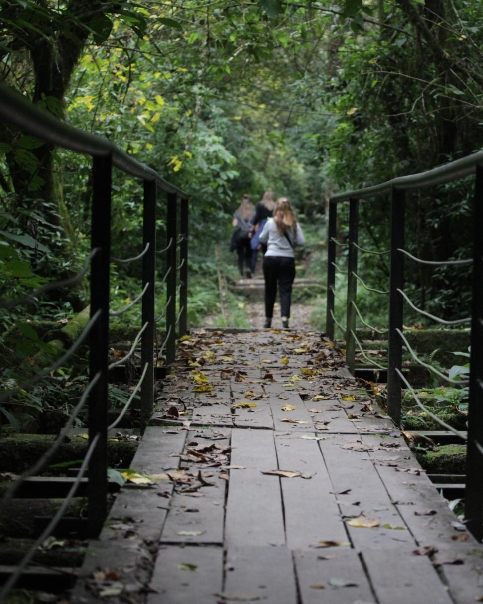 Tucumán quiere que sus yungas sean patrimonio de la Unesco