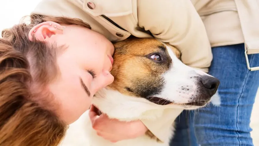 Los abrazos incomodan a los perros