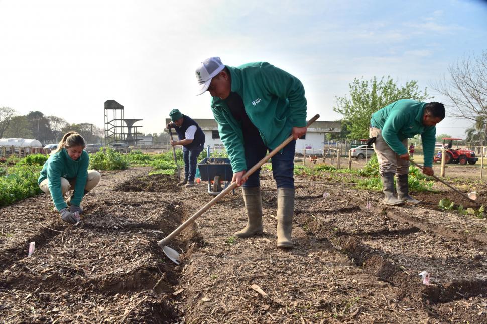 TRABAJO. La puesta a punto del terreno se hace todos los días.