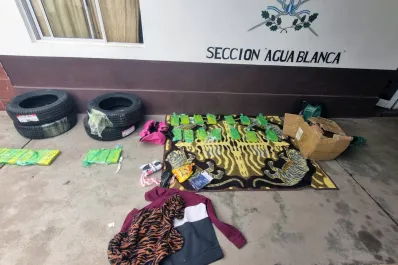 Gendarmes incautan más de 39 kilos de cocaína en controles sobre la ruta nacional Nº 50