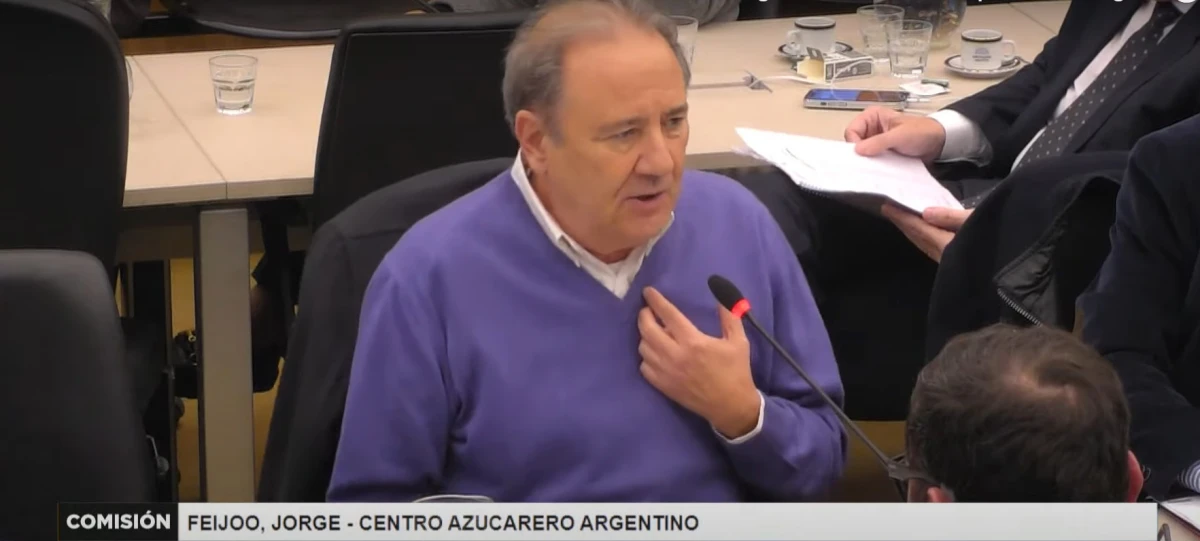 Jorge Feijóo, en Diputados. CAPTURA DE VIDEO