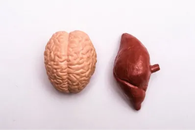 Cuál es la enfermedad que se confunde con el alzheimer pero que es reversible