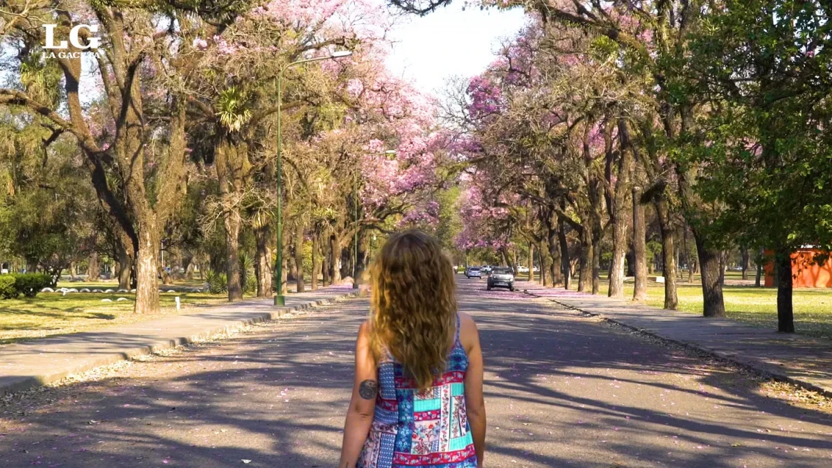 Anticipan una primavera atípica en Argentina: ¿cuáles son las temperaturas y las precipitaciones previstas para Tucumán?