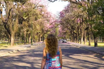 Anticipan una primavera atípica en Argentina: ¿cuáles son las temperaturas y las precipitaciones previstas para Tucumán?