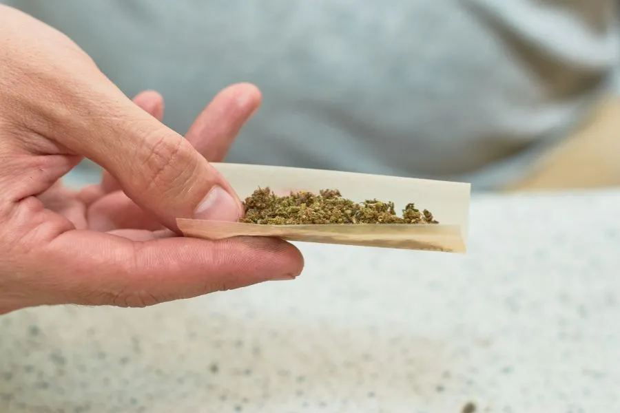 CANNABIS Y JUVENTUD. Un estudio científico canadiense advierte que no conviene usar la marihuana para calmar la ansiedad./CANVA