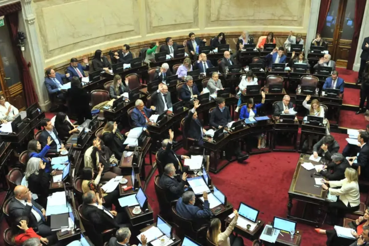 En el Senado: fondos para las universidades