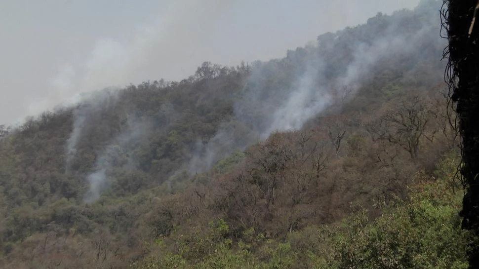 UN ÁREA PARA CUIDAR SIEMPRE. La situación que se vive en los cerros con los incendios se agrava por las sequías y las recientes heladas.