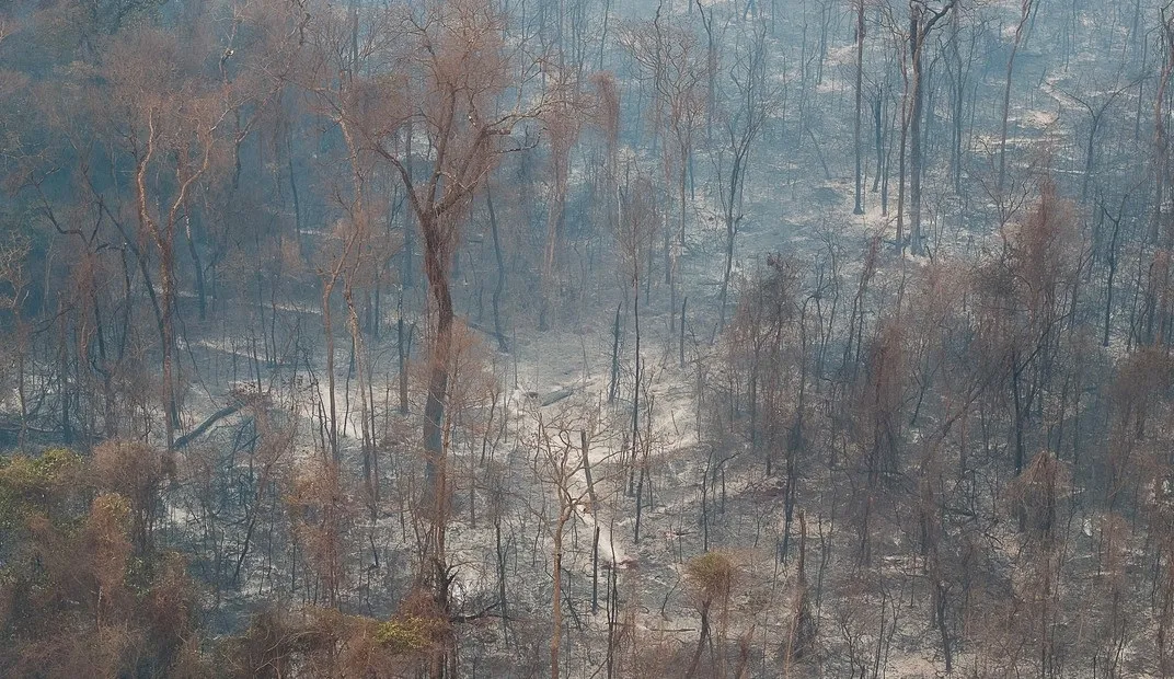 Brasil: despliegan aviones militares para combatir los incendios en el estado de San Pablo