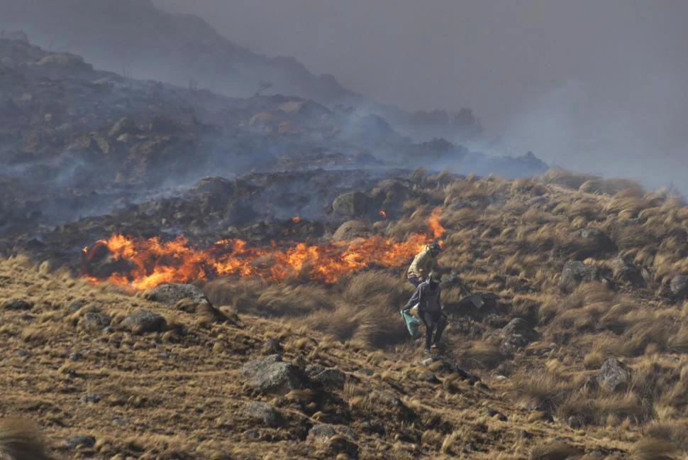 La anormal normalidad del fuego