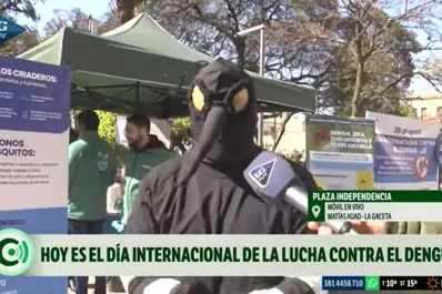 Día Internacional contra el Dengue: la advertencia del mosquito tucumano antes de la llegada del calor