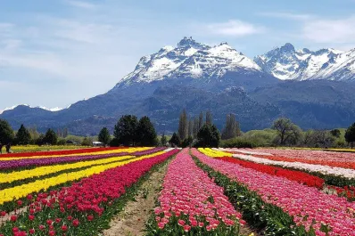 Travel Sale2024: ¿hasta cuándo podés aprovechar los descuentos y promociones?