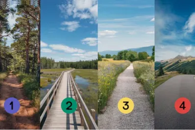 Test de personalidad: elegí un camino y descubrí cuál es tu verdadera motivación en la vida